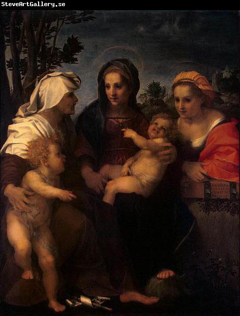 Andrea del Sarto Madonna and Child with Sts Catherine, Elisabeth and John the Baptist
